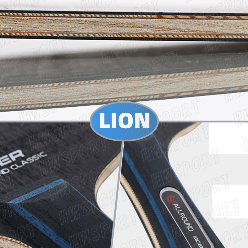 BOER LION DRAGON Tischtennissc – Table Tennis Zhang Jike Bewertung und Preis